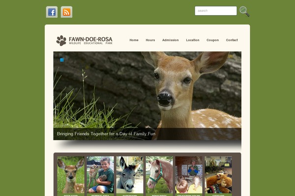 Boldy theme site design template sample