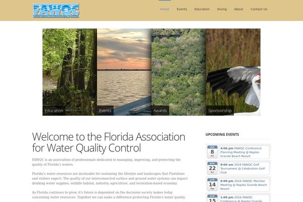 Mexin theme site design template sample