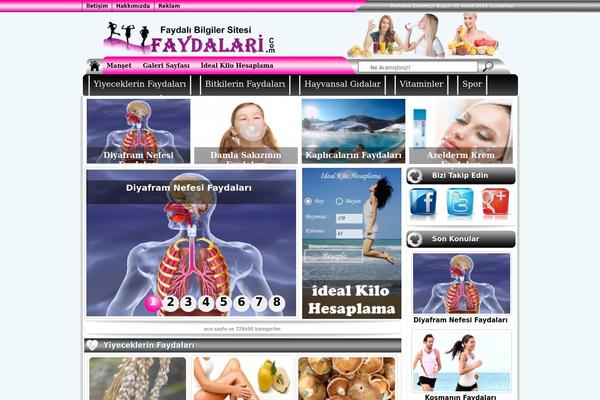 Basic theme site design template sample