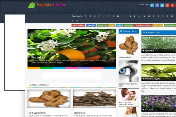 Site using Really Simple Share plugin