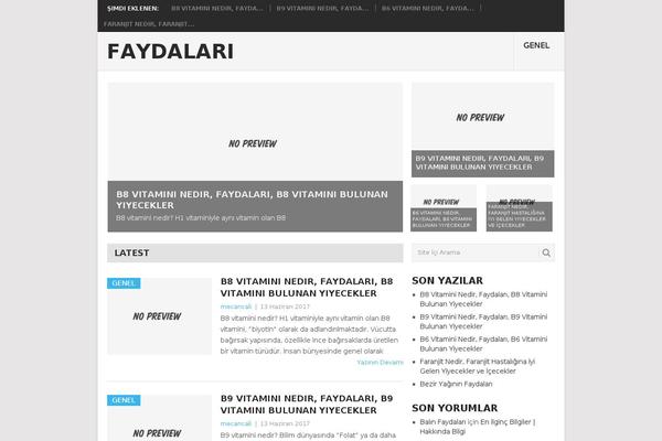 Point theme site design template sample