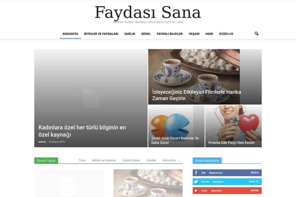 Newspaper theme site design template sample