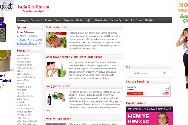Wpt theme site design template sample