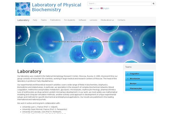 B3 theme site design template sample