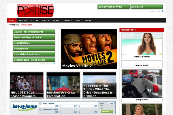 BeeTube theme site design template sample