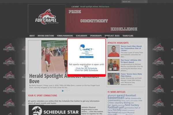 Resportsive theme site design template sample