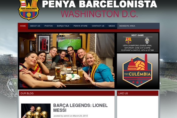 Big-brother-wpcom theme site design template sample