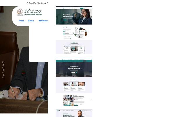Site using Wp-subscribe-form plugin