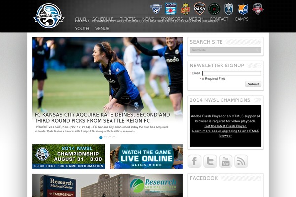 Resportsive theme site design template sample
