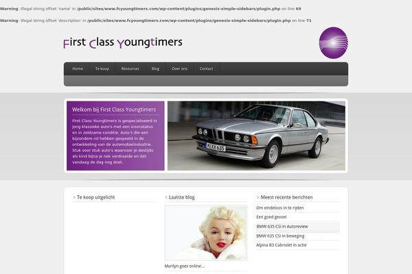 Enterprise theme site design template sample