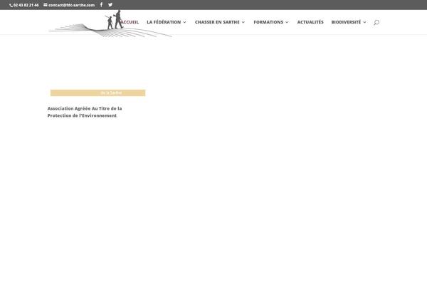 Divichild theme site design template sample