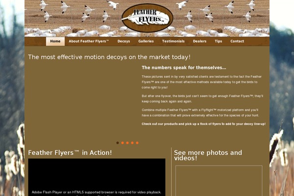 Ff theme site design template sample