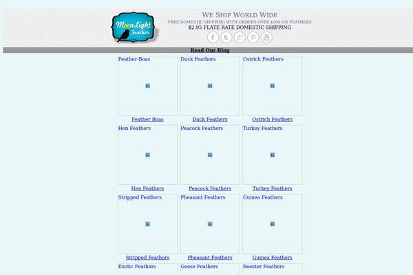Simple Catch theme site design template sample