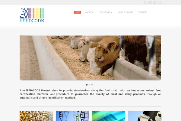 feedcode-project.eu site used Vflex