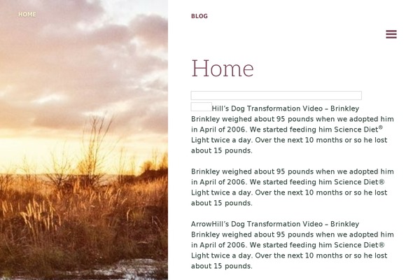 Bushwick theme site design template sample