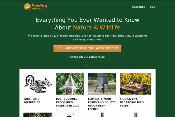 Rise theme site design template sample