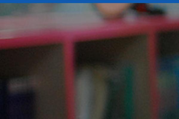 Site using WP Nivo Slider plugin