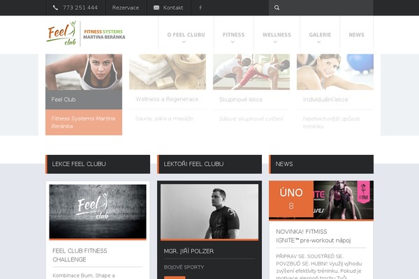Fit Wp theme site design template sample