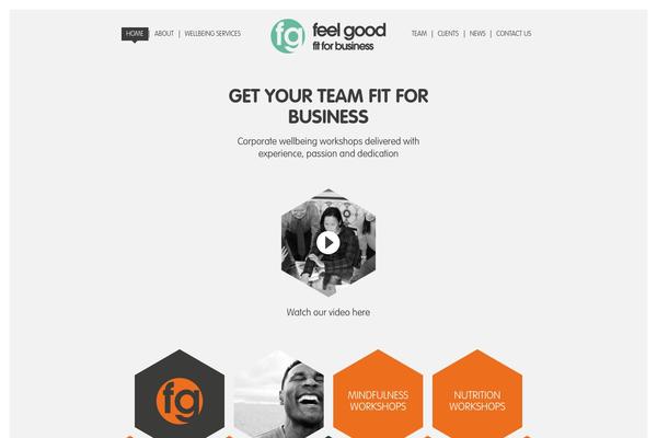 feelgoodco.com site used Feelgood