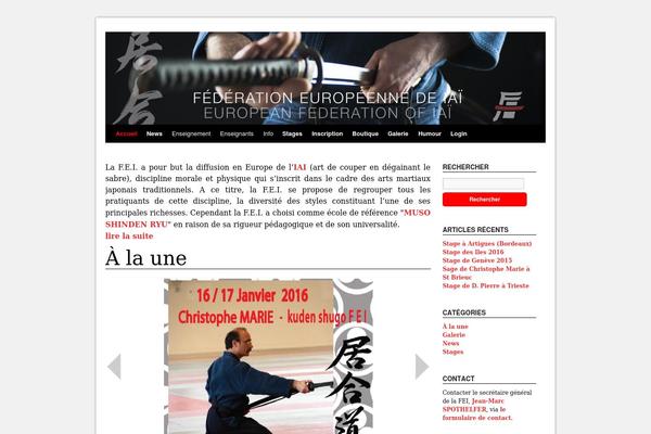 fei-iai.ch site used Twentyten_custom