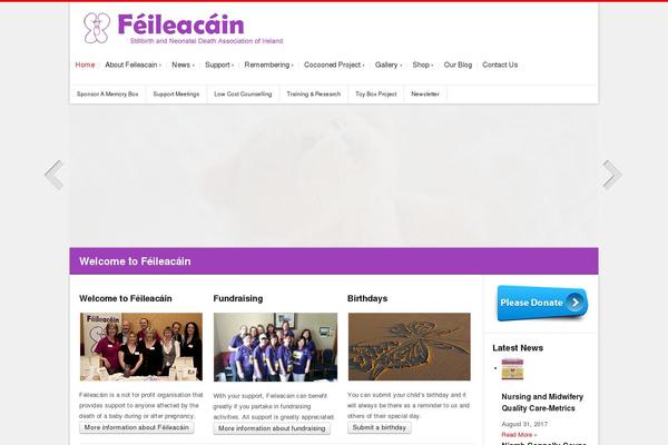 Site using Page-flip-image-gallery plugin