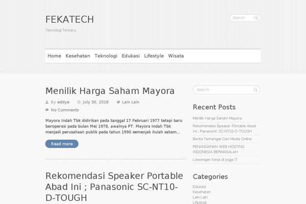 fekatech.com site used Clean Retina