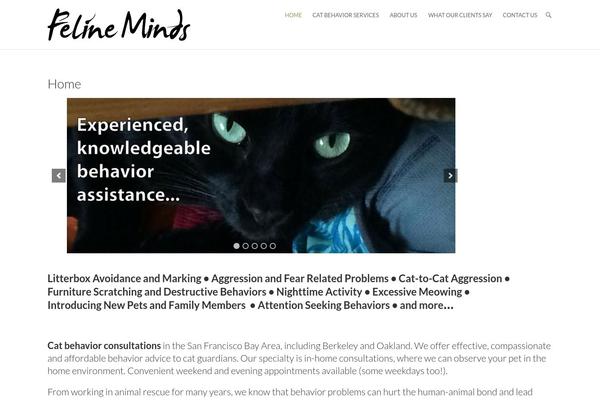 Ambition theme site design template sample