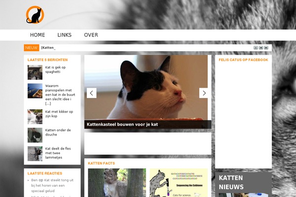 Magazine theme site design template sample