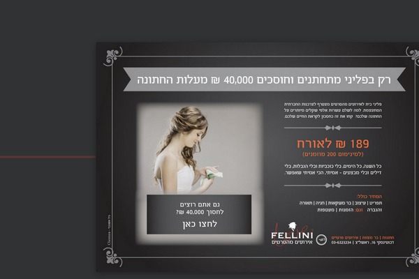 Oyster theme site design template sample