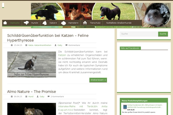 Site using Borlabs-cookie plugin