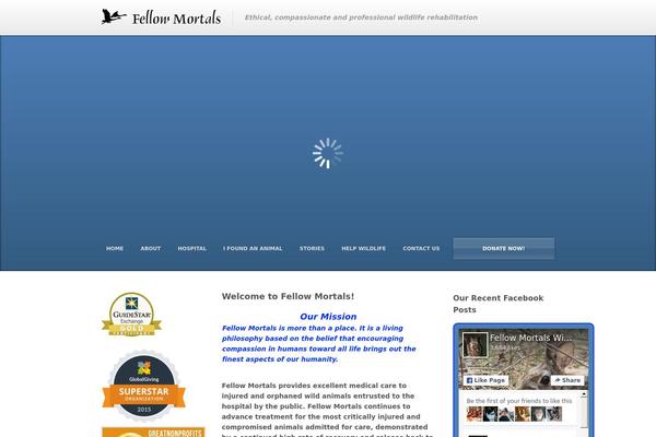 Site using Wp-social-feed plugin