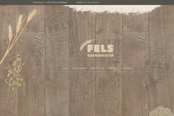 fels theme websites examples