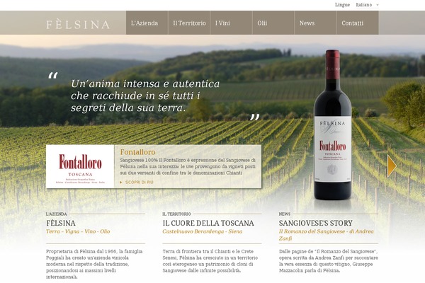 felsina.it site used Felsina5.8