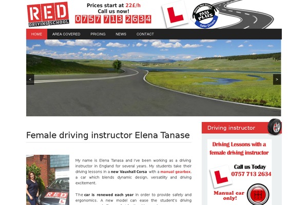 Newswire theme site design template sample