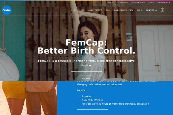 Site using HTML5 Responsive FAQ plugin