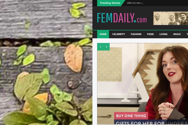 Bzine theme site design template sample