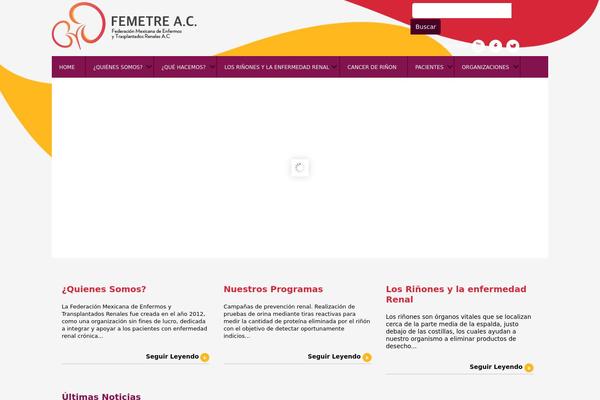 femetre.org.mx site used Femetre