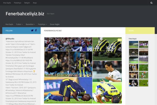Hueman theme site design template sample