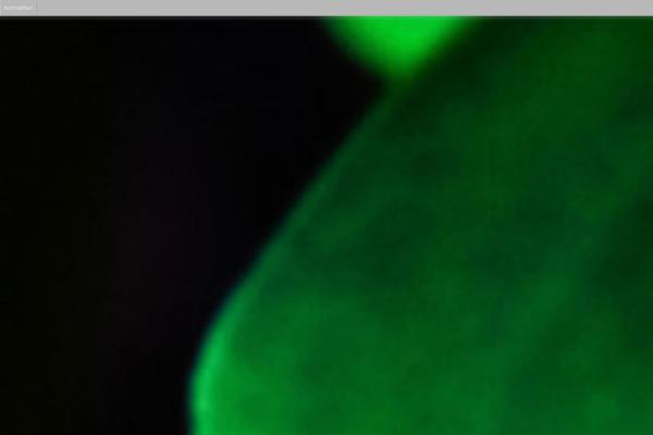 Click-mag theme site design template sample