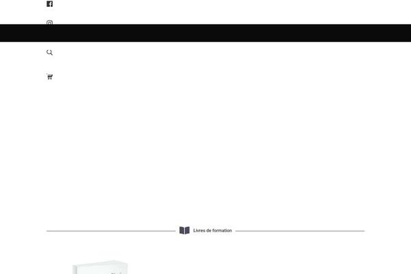 Site using Simple-social-icons-widget plugin
