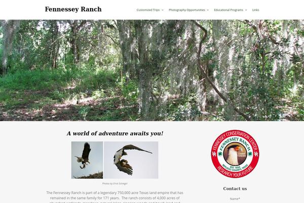 Elegant theme site design template sample