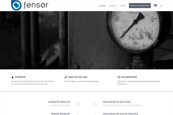 Enfold theme site design template sample
