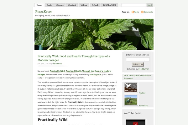 Misty Look theme site design template sample