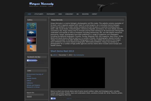 Options theme site design template sample