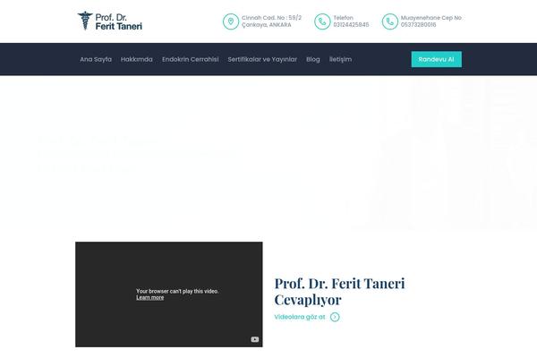 ferittaneri.com.tr site used Andersonclinic