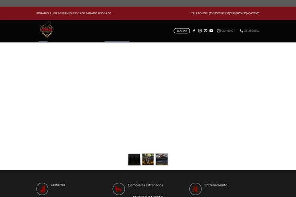 Site using Elfsight-instagram-feed-cc plugin