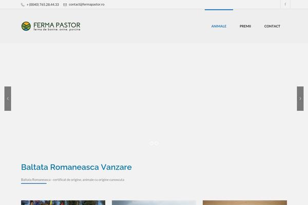 Constrion theme site design template sample