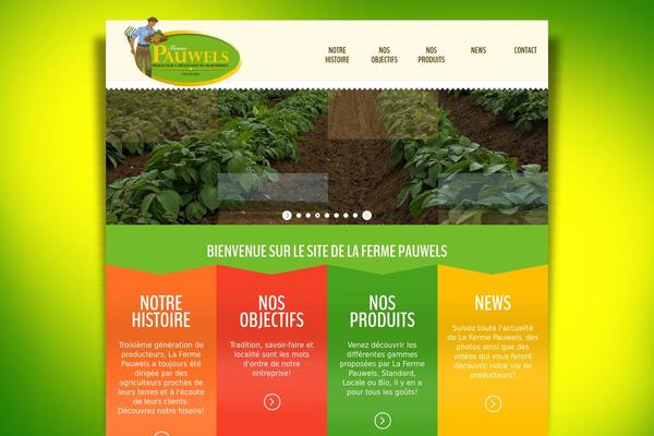 Site using Flash Gallery plugin