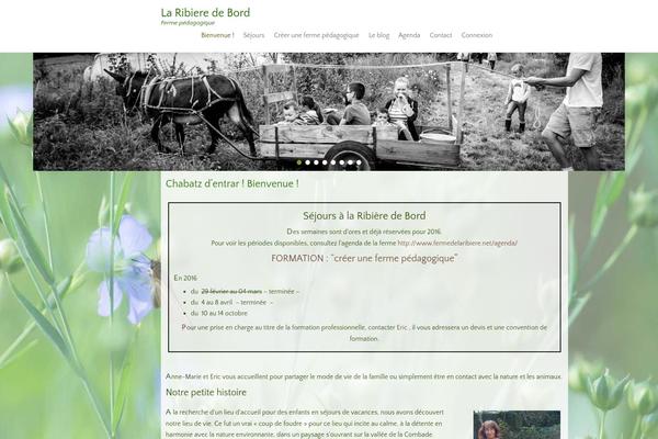 Star Brite theme site design template sample