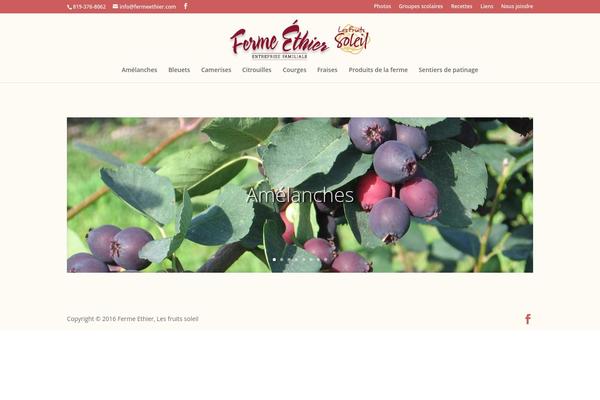 Divi Child theme site design template sample